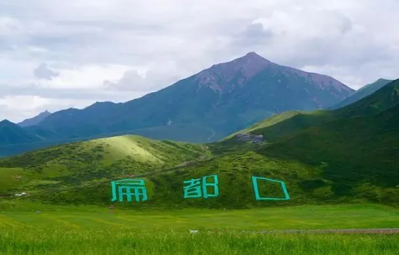 园林设计中林草植物的选择与配置策略研究(图3)